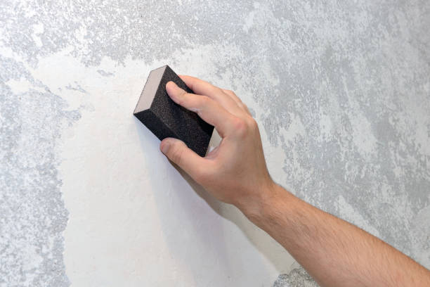 Best Crawl Space Mold Remediation  in Wallace, ID