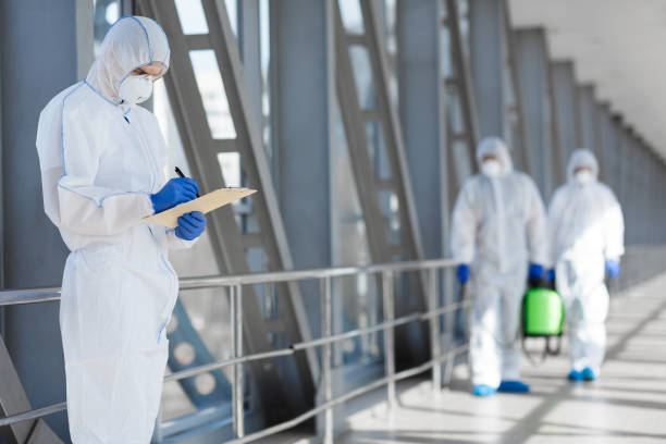 Best Asbestos and Lead Testing During Mold Inspection  in Wallace, ID