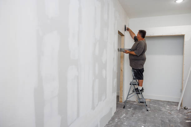 Best Environmental Consulting for Mold Prevention  in Wallace, ID