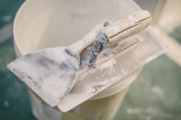 Best Mold Damage Restoration  in Wallace, ID